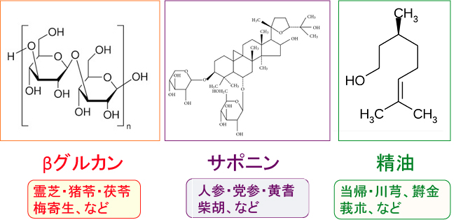 漢方薬の免疫増強作用