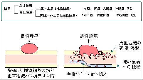 比増殖速度