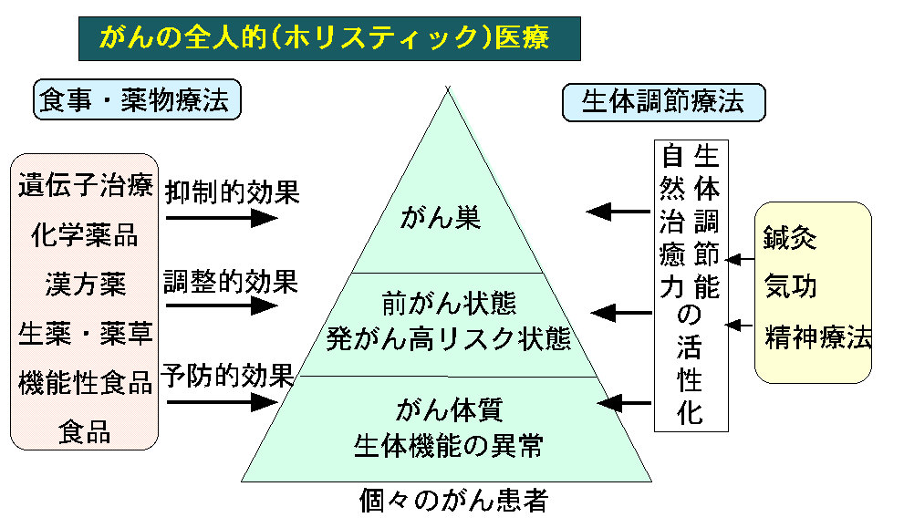 がんの全人的医療：ホリスティック医療